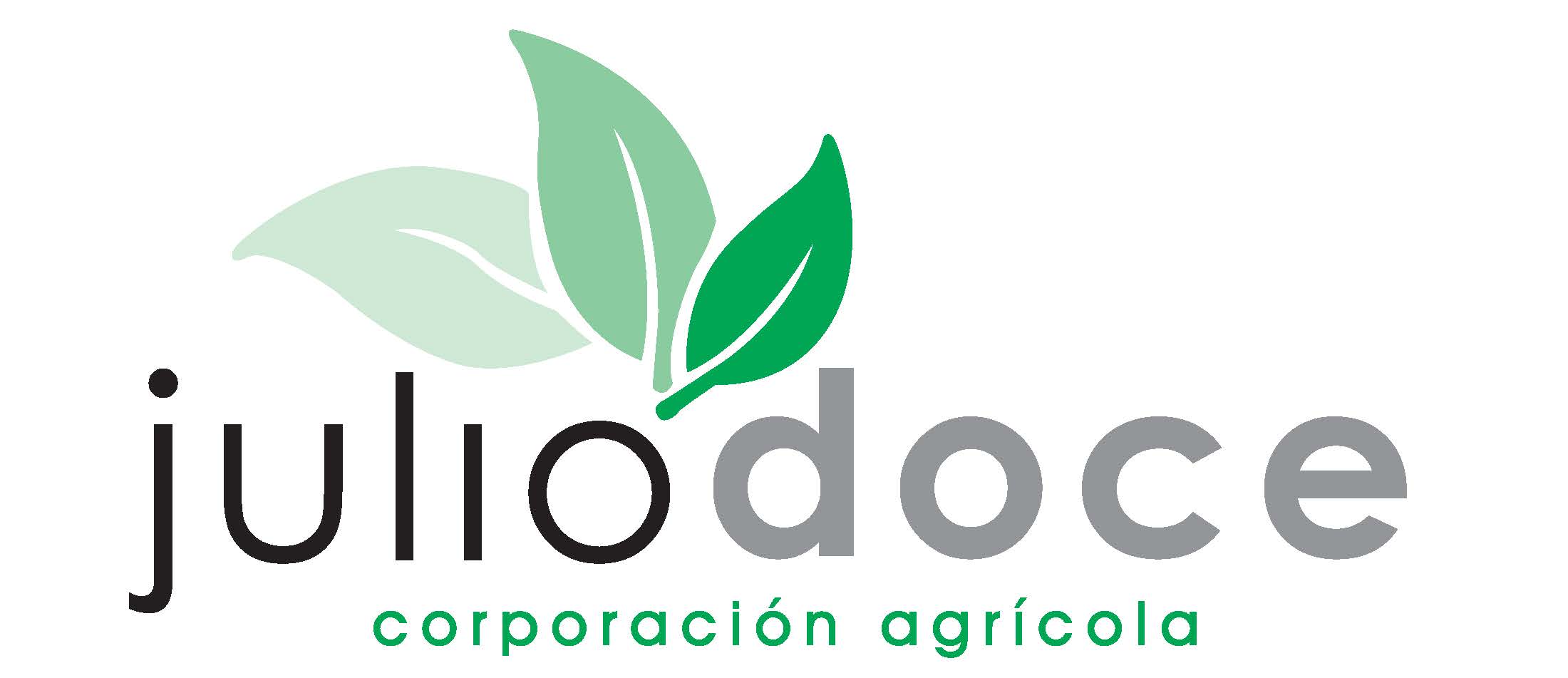 Logo Corporación Julio Doce