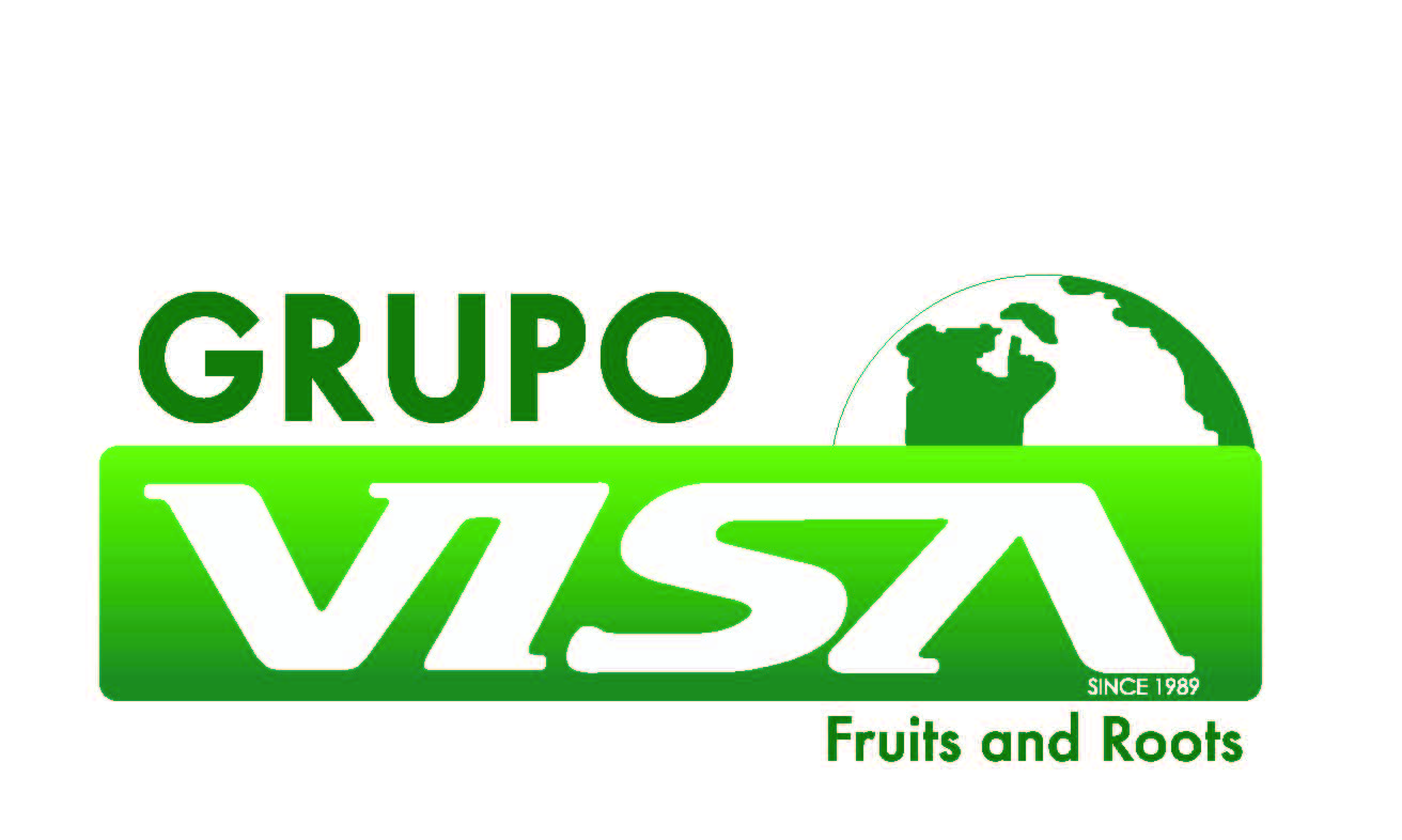 Logo Grupo Visa_Página_2