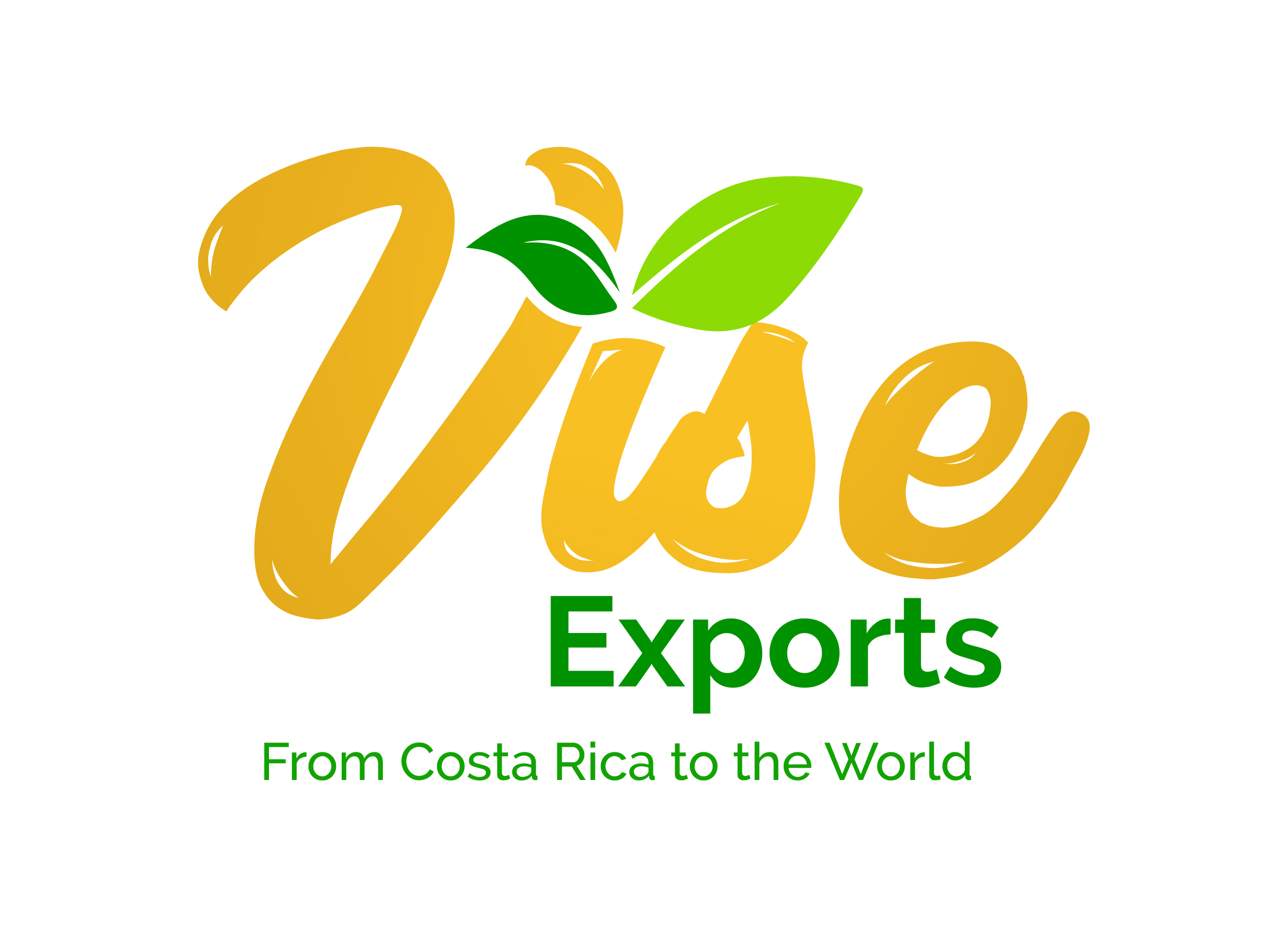Logo VISE_Original-24
